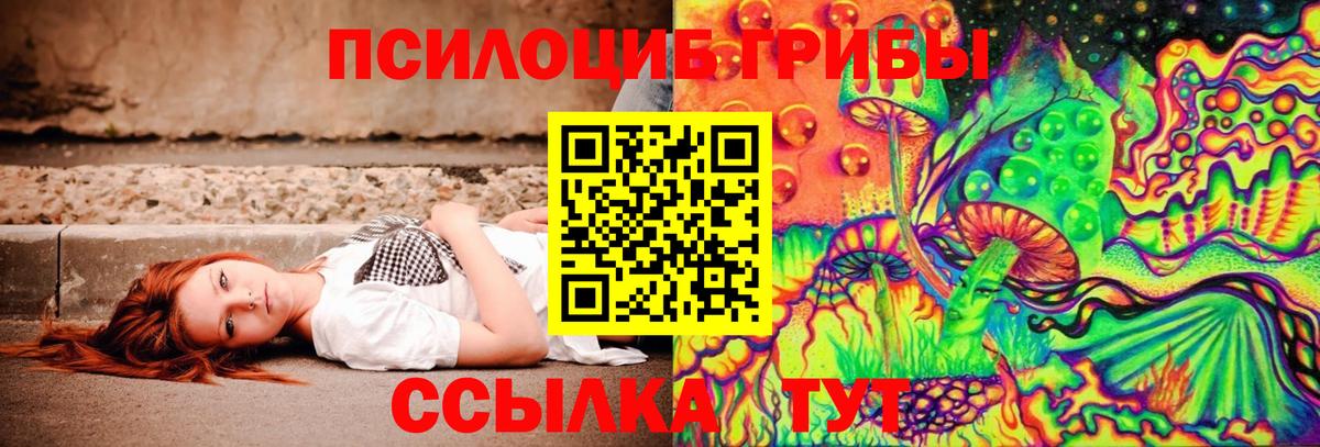 Когалым  Галлюциногенные грибы Psilocybe  Вход с VPN 